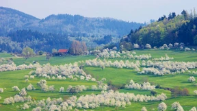 Schnelles Internet in jedem Schwarzwaldtal