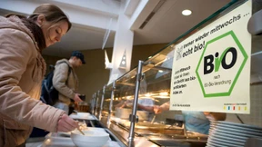 Zwei Biorinder für die Mensa