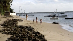 Kampf um das Paradies