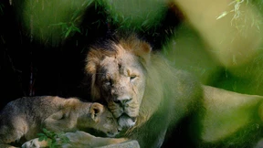 „Wir werden Berge versetzen müssen“