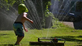 Kommt der Abschied vom Zierrasen?
