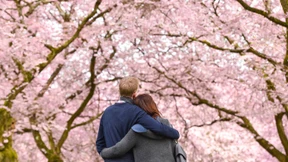 Hurra, der Lenz ist da!