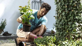 Beete gegen Bürokraten