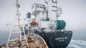 Tierschützer rammen Krillfangschiff in der Antarktis