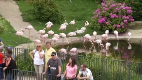 Der Sommer kommt am Wochenende 