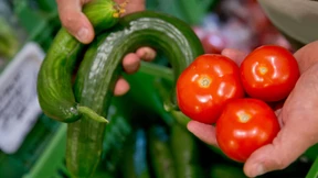 Nicht alles für die Tonne