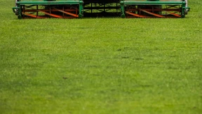 So pflegen Sie ihren Rasen richtig