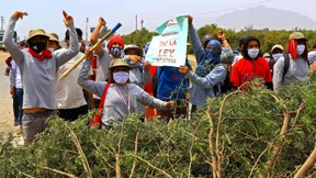 Toter bei Bauern-Protesten