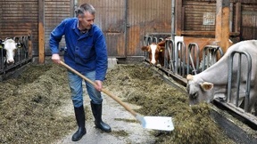 Ein Lieferant, der sein eigener Abnehmer ist