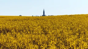 Kirchen, hört: Gretchen gefragt