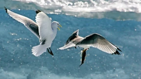 Warum Neid der Karriere nutzt