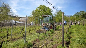 IHK fordert mehr berufliche Orientierung