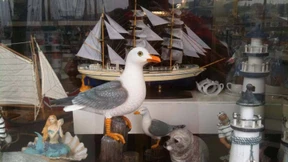 Keine Aussicht auf Schwarz-Grün 