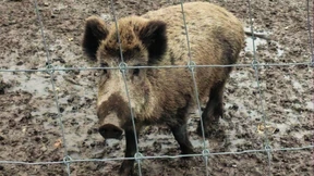 Kein Anschluss unter diesem #Aufschrei