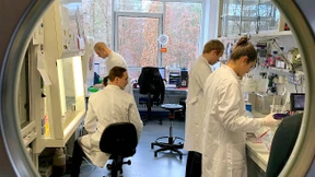 In vier Landkreisen und einer Großstadt steht nun die Null