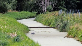 Wer Deutschland für Hitze, Dürre und Starkregen fit macht