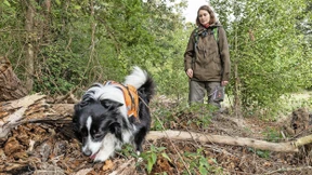 In drei Monaten zum Lurchfahnder