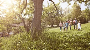 Ein Aktienfonds für alle