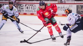 Eishockey-Underdog auf Erfolgskurs