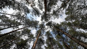 Wie ein Student den Klimawandel stoppen will
