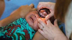 Blick ins Licht des Lebens