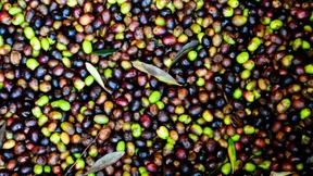 Steile Hänge, atemberaubende Aussicht, harte Arbeit