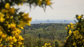 Wirtschaftsprüfer wollen ESG-Haftung entschärfen
