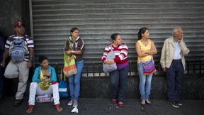 Neues Futter für die Geier