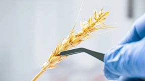 Skalpell statt Schrotflinte