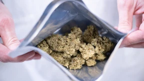 Gefährliches Cannabis