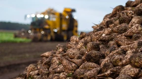 Geringere Ernten wegen Kälte