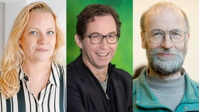 Strittiger Männerpart bei den Frankfurter Grünen