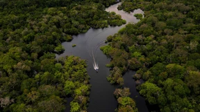 Investoren rufen zum Ende der Amazonas-Abholzung auf