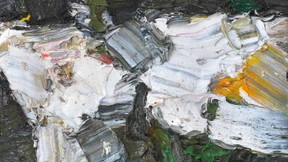 Sie will sterben, am liebsten noch in diesem Jahr