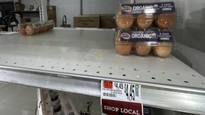 USA fragen auch Deutschland nach Eiern