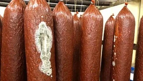 „Das Ausmaß des Wilke-Skandals mutet unglaublich an“