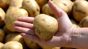 Wurden Kartoffelkäufer um 1 Milliarde Euro geprellt?