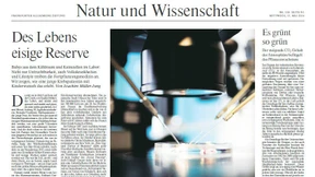 Eizellen kriegen keine Frostbeulen