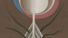 Mondblume Anima blüht aus Wolken