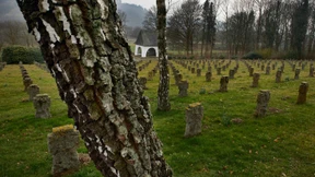 Der Wald rächt sich . . .