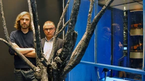 Vom Despoten zum traurigen Clown