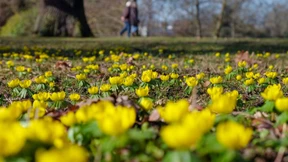 Unbeständigeres Wetter für Hessen erwartet