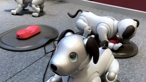 In gefühlter Gesellschaft: Sprachassistenten gegen die Einsamkeit