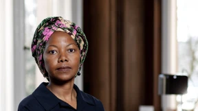 Das alte Pferd und das Krokodil