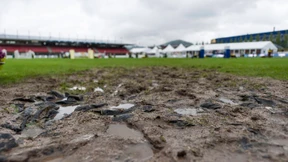 Geld oder Tierliebe?