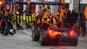 Rennstall mit schmaler Brust