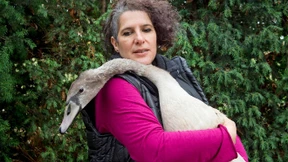 „Wir fahren die Natur an die Wand“