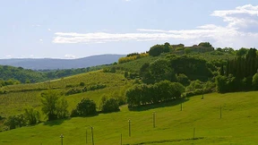 Der romantische Kadaver des Patriarchats im Chianti
