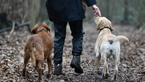 Warum man für ein Familienmitglied zahlen sollte