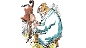 Milch macht müde Männer munter